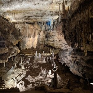 Meet your Posher, Abbie